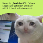 Katze und hunde Fan Gruppe