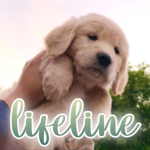 lifeline.