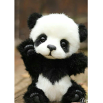 Panda fairy studios