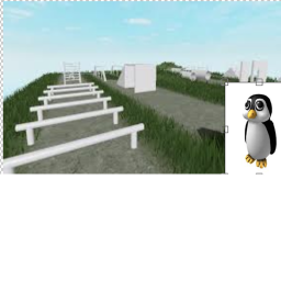 Army penguin's traing course
