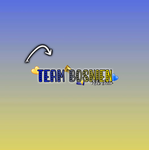 Team Bosnien cheer