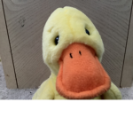 Ducky Squadish Gang