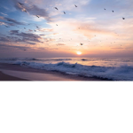 Ava’s Beach