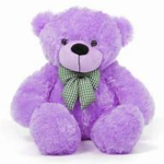 the cool bear