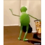 kermit the frog is pretty