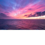 The Pink Ocean