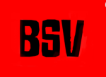 BSV ~ Blood Stone Villains