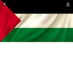 Kings العرب