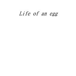 Life of an egg  icon