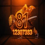 SOLO81 Group Thumbnail
