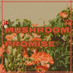 Mushroom Promise