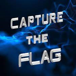 Capture The Flag! (NEW)