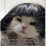 gd4nk