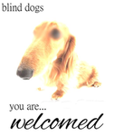 BLIND DOGS