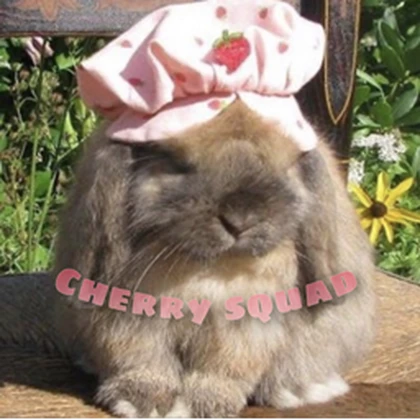 ʚ cherry squad ɞ Roblox group icon