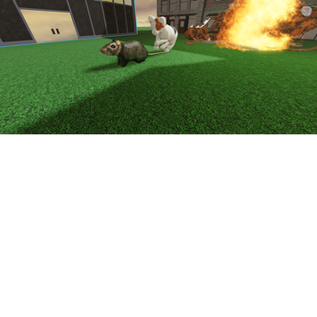 Rat Run