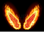 Wings on Fire