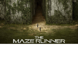 Escape this maze for Admin!