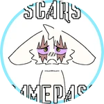 Scars Accessories