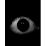 The Exclusive Eye Society