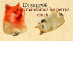 ELTEAMDOGE