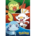 Pokémon Fan Squad