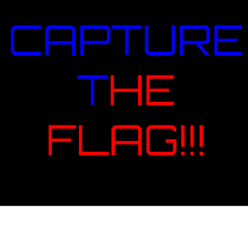 Capture the Flag!!