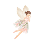 Fairy's Team !!