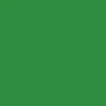 TEAM VERT !