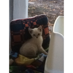Links Cavern