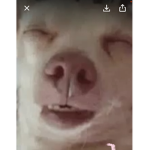 L0V3RSL