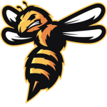 Team-Hive