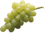 Grapes Rule Memes