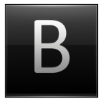The B..O..S..S