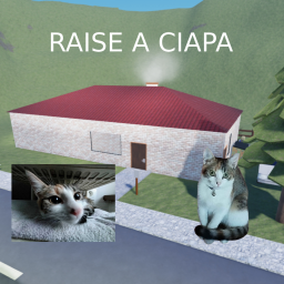 Raise A Ciapa