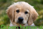 Green Humans Group