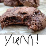 The Cookies Bite