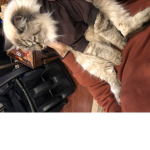 FLUFFY MONKES