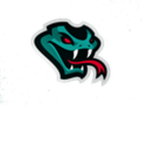 Blitz football [ Rattlers ]