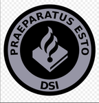 dsi FiveR Roleplay v2