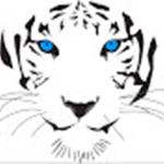The White Tiger Sqaud