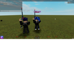 The Roblox Insanity Group