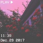 A E S T H E T I C D E S I G N S