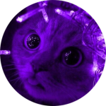 obcstq