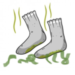 Smellysocks studios