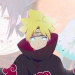 The vera
