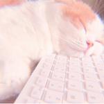 Jasmine’s Jellybeans