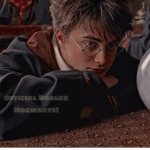 Official Roblox Hogwarts!