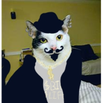 KLFRIS