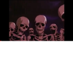Zak and friends